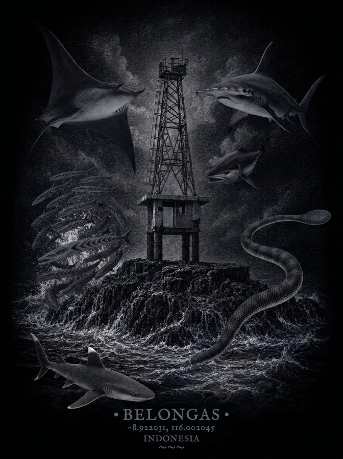 Belongas t-shirt artwork: monochrome sea life, sharks, a manta and a sea snake circling a pinnacle tower, with dive-site coordinates